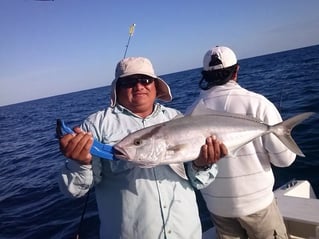 Inshore Fishing Trip