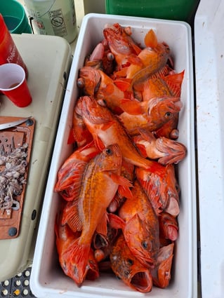 Local And Long-range Fishing Trips