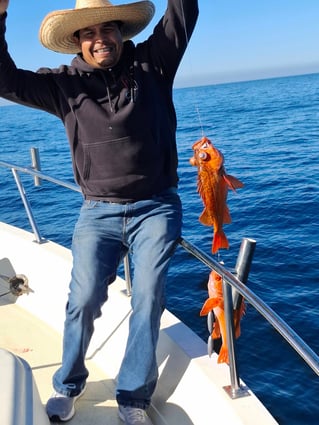 Local And Long-range Fishing Trips