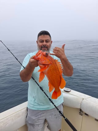 Local And Long-range Fishing Trips