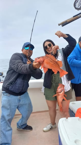 Local And Long-range Fishing Trips