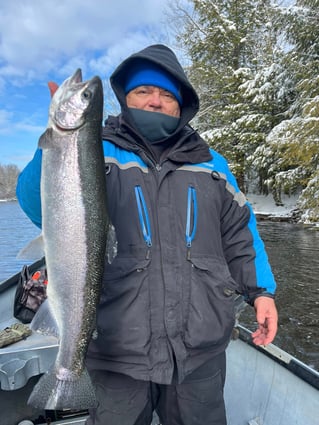 Half Or Full Day Trip