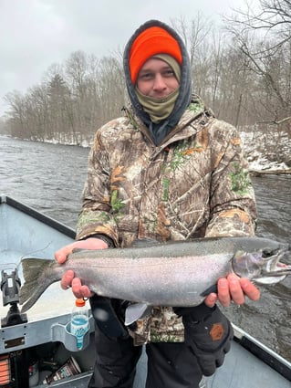 Half Or Full Day Trip