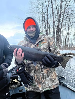 Half Or Full Day Trip