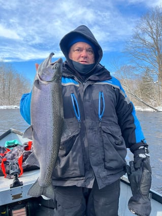 Half Or Full Day Trip