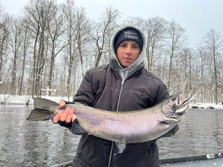 Half Or Full Day Trip