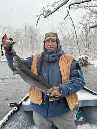 Half Or Full Day Trip