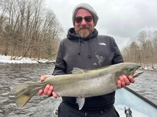 Half Or Full Day Trip