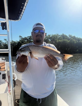 Inshore Fishing Trip