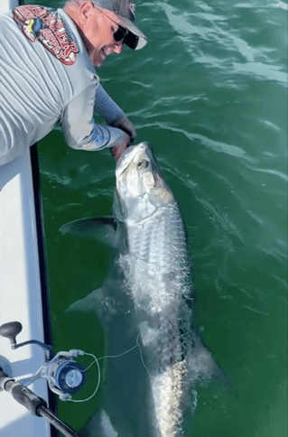 4-8 Hour Inshore Trip