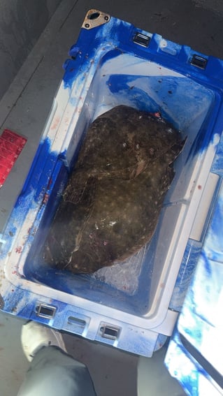 Floundering And Fun On The Water