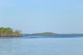 SWFL Fly Fishing