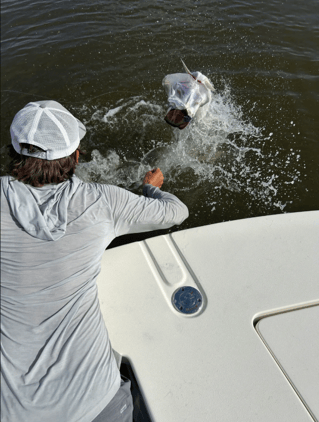 4-8 Hour Guided Fly Fishing