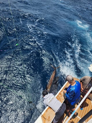 Sport Fishing Trip