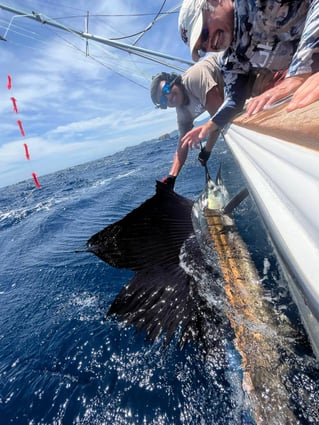 Sport Fishing Trip