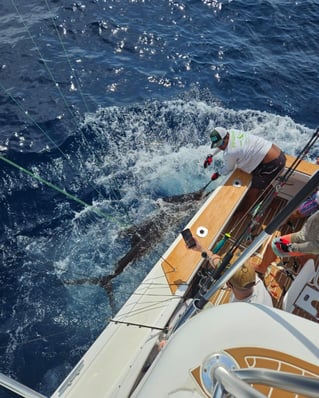 Sport Fishing Trip