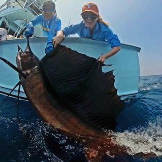 Offshore Fishing Trips