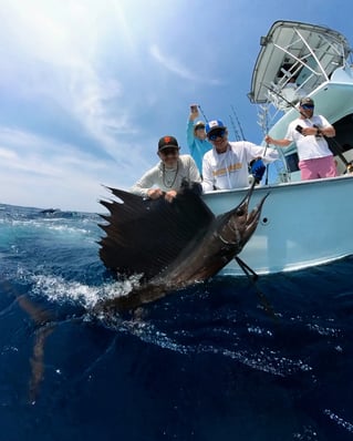 Offshore Fishing Trips