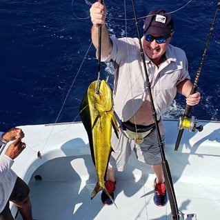 Offshore Fishing Trips