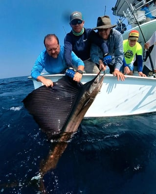 Offshore Fishing Trips