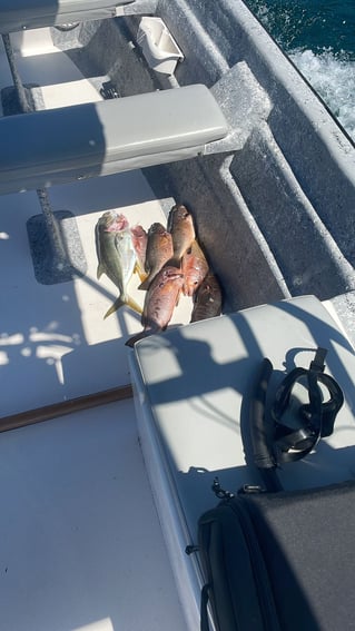 Fishing And Having Fun In The Sea