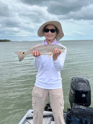 Experience The Everglades