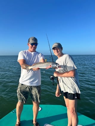 Experience The Everglades