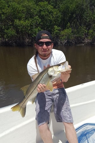 Experience The Everglades