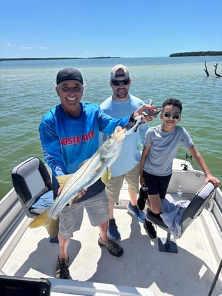 Experience The Everglades