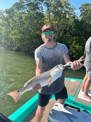 Experience The Everglades
