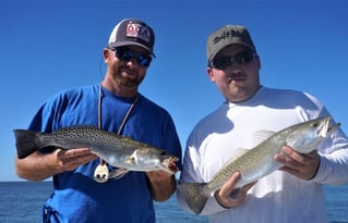 Experience The Everglades