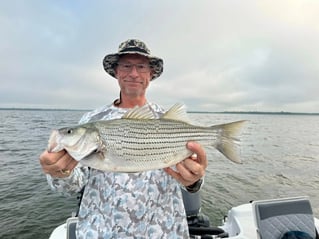 Half Or Full Day Trip