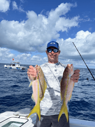 3-4 Hour Reef Fishing Trip