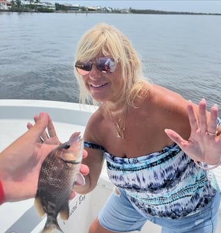 Inshore/Nearshore Fishing