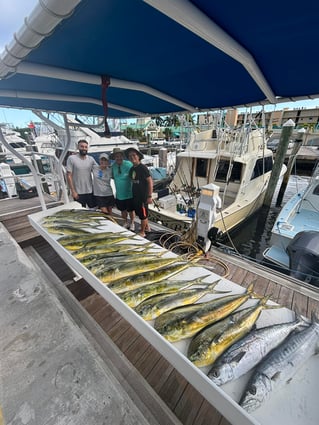 4-8 Hour Trip – Offshore