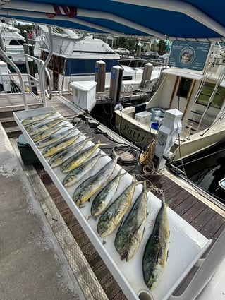 4-8 Hour Trip – Offshore