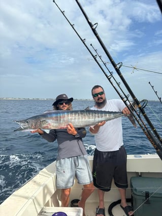 4-8 Hour Trip – Offshore