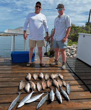 4-8 Hours Offshore Trip