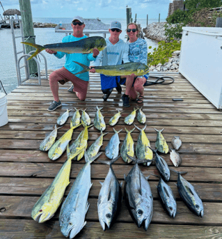 4-8 Hours Offshore Trip