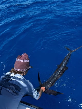 4-8 Hours Offshore Trip