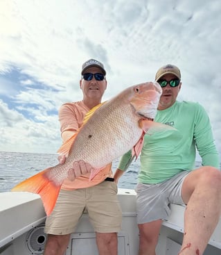 4-8 Hours Offshore Trip
