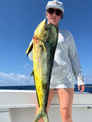 4-8 Hours Offshore Trip