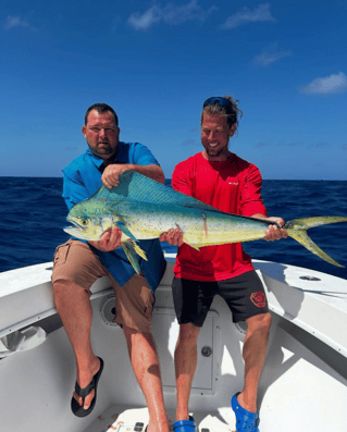4-8 Hours Offshore Trip