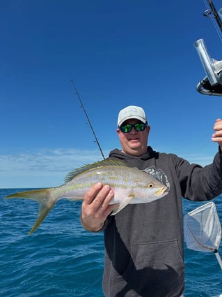 4-8 Hours Offshore Trip