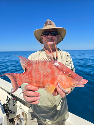 Tampa Bay Fishing Fun