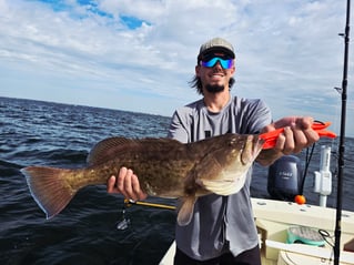 Tampa Bay Fishing Fun