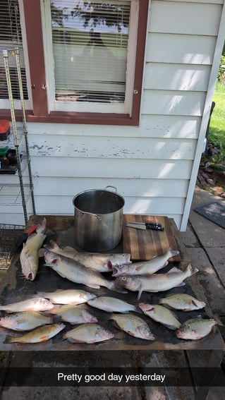 Half Day Or Full Day Fishing Trip