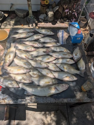 Half Day Or Full Day Fishing Trip