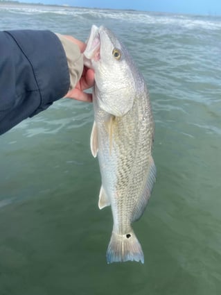 3-6 Hr Inshore / Port 
