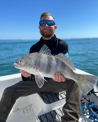 3-6 Hr Inshore / Port 